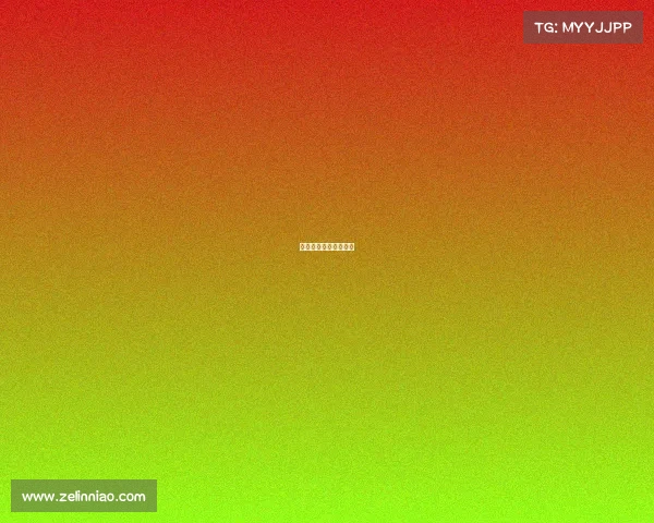 武术套路国际竞赛规则